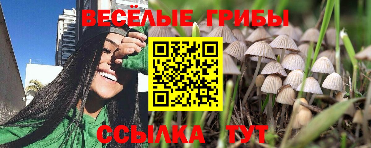 Псилоцибиновые грибы GOLDEN TEACHER Биробиджан